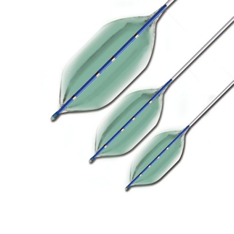 PTS® and PTS-X™ Sizing Balloon Catheters