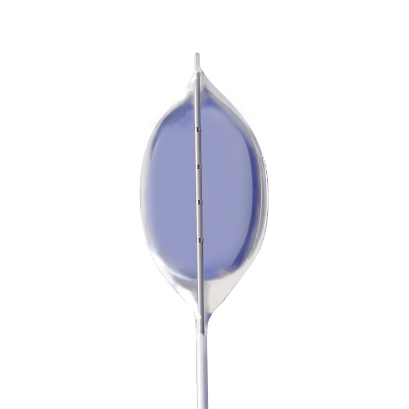 PTS® Sizing Balloon Catheters
